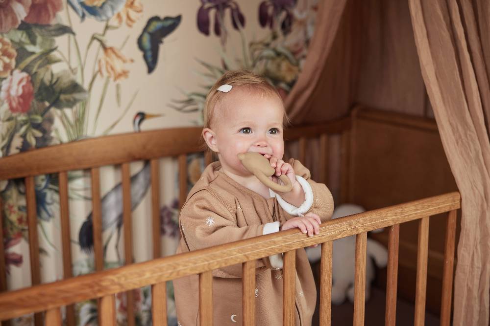 Jollein Beißring Naturkautschuk Teddy Bear Biscuit Exklusive Angebote