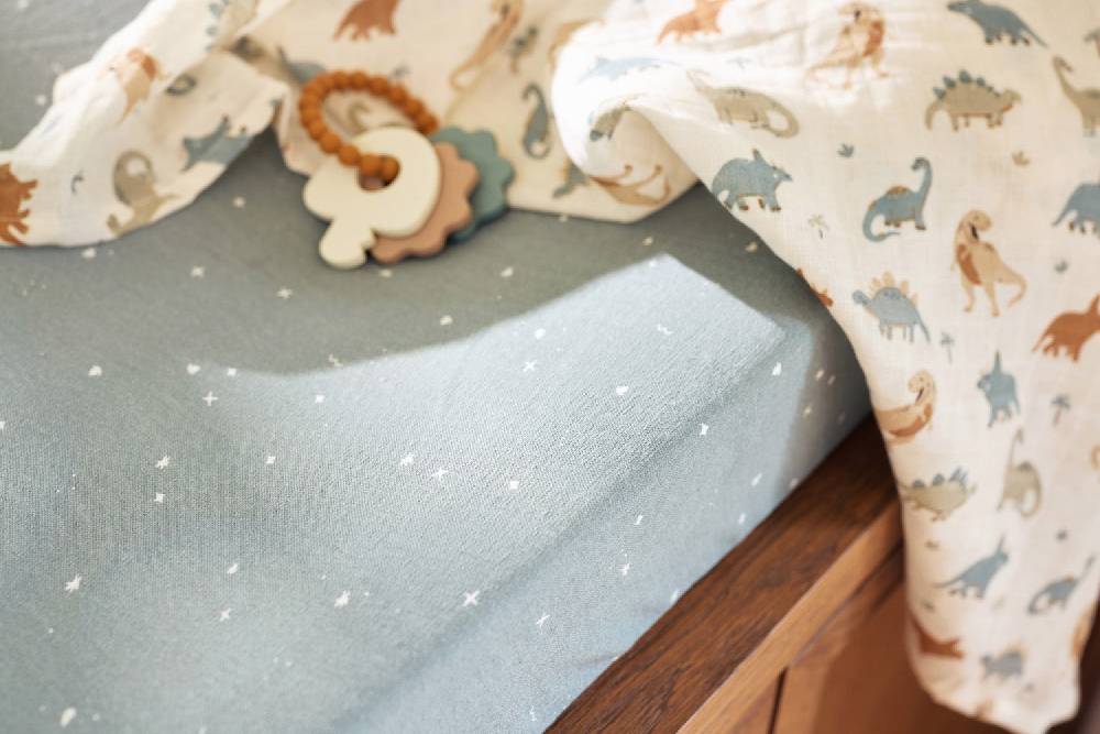 Jollein Spucktuch 70x70cm - Roarsome - 3 Stück Online Shopping