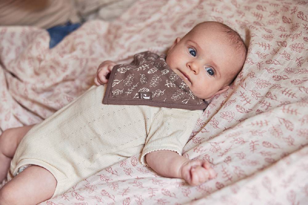 Jollein Lätzchen Bandana Meadow Chestnut (2pack) Rabatt