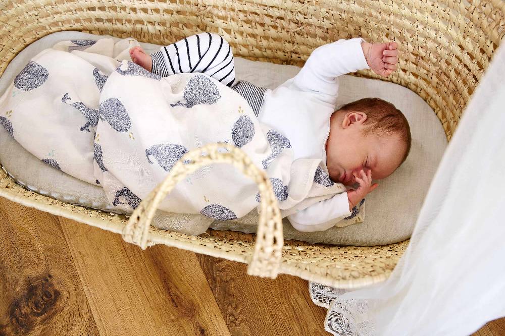 Lässig Mulltücher (3 Stk) - Heavenly Soft Swaddle L, Little Water Whale Speichern exportieren