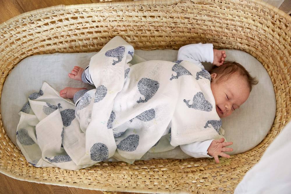Lässig Mulltücher (2 Stk) - Heavenly Soft Swaddle XL, Little Water Whale Osterangebot