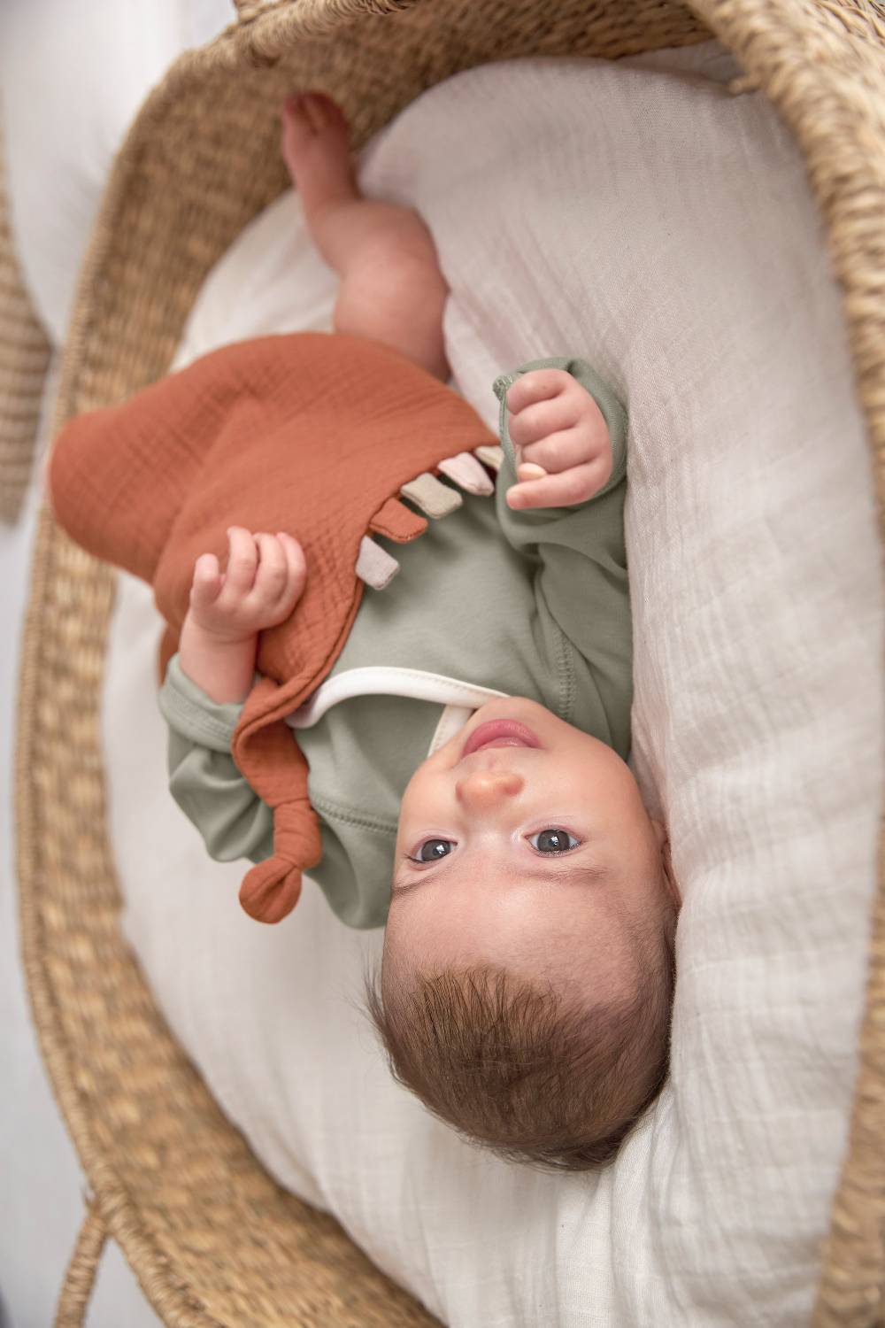 Lässig Baby Body (2er Set) langarm - Bio Baumwolle, Blau Online Shopping