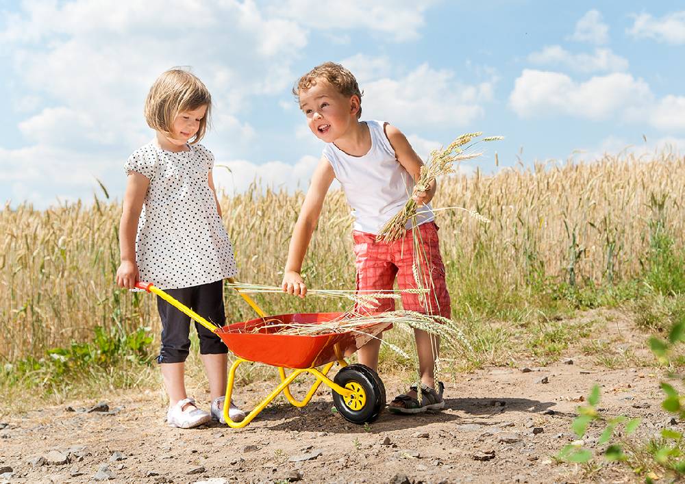 Rolly Toys rollyMetallschubkarre Großer Ausverkauf