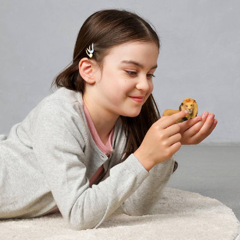 Schleich Löwe (circular) Nur für heute