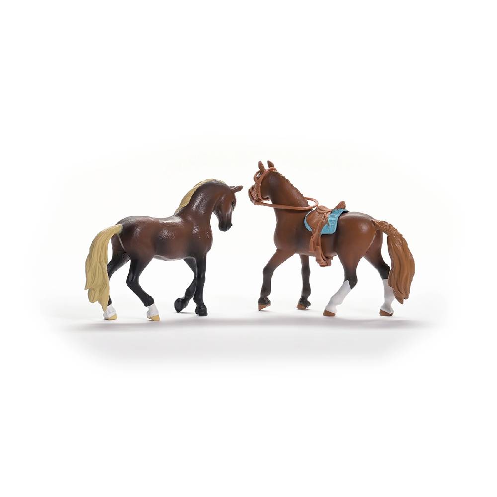 Schleich HORSE CLUB Paso Peruano Starter-Set Auslauf