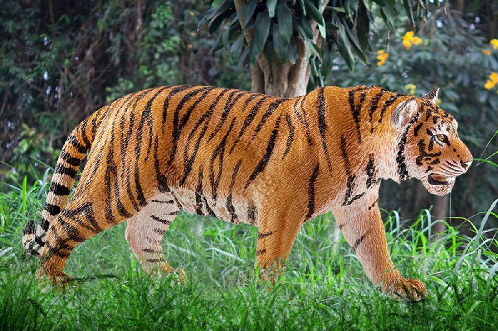 Schleich Tiger Online Shopping
