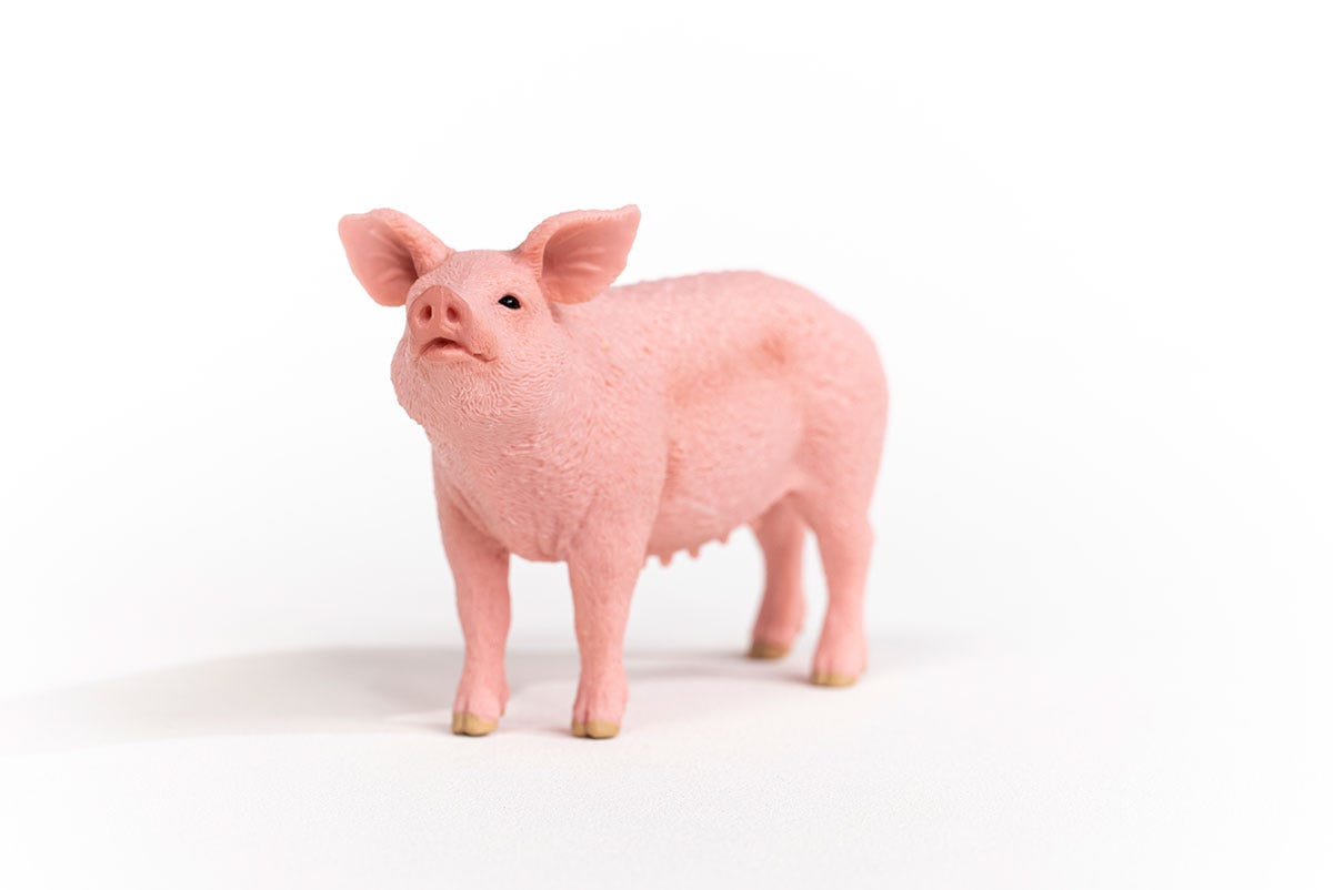 Schleich Schwein Tiefpreis
