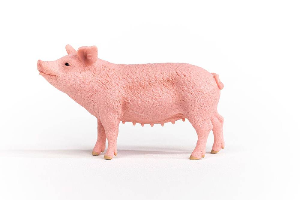 Schleich Schwein Tiefpreis