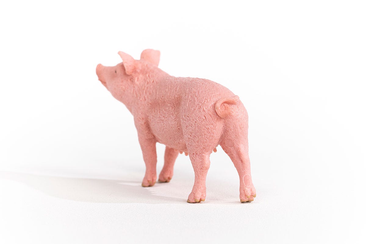 Schleich Schwein Tiefpreis