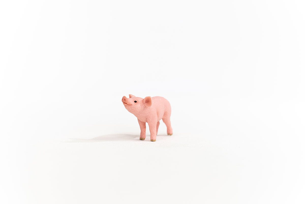 Schleich Ferkel Letzte 3 Tage