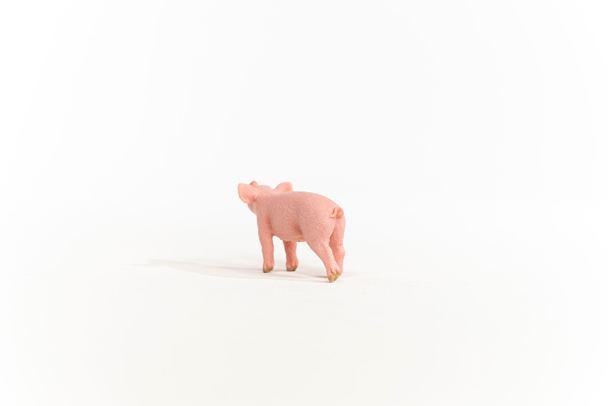 Schleich Ferkel Letzte 3 Tage