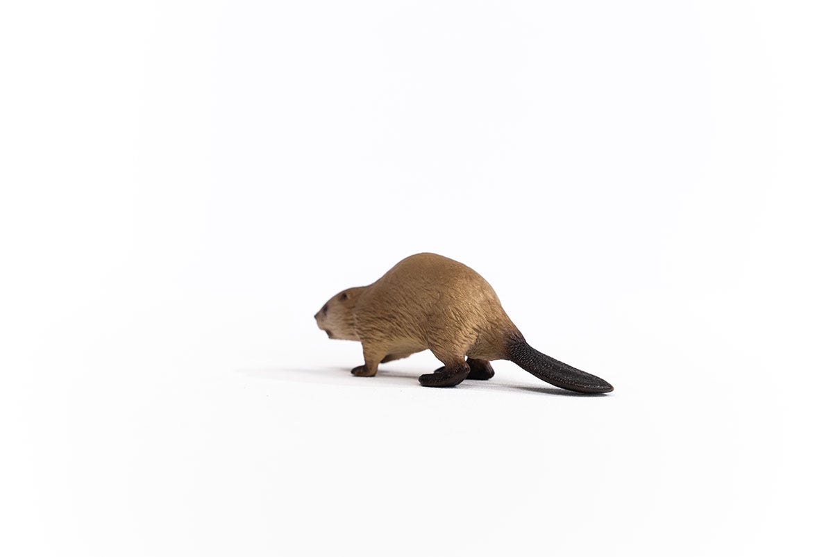 Schleich Biber Valentinstagsangebot