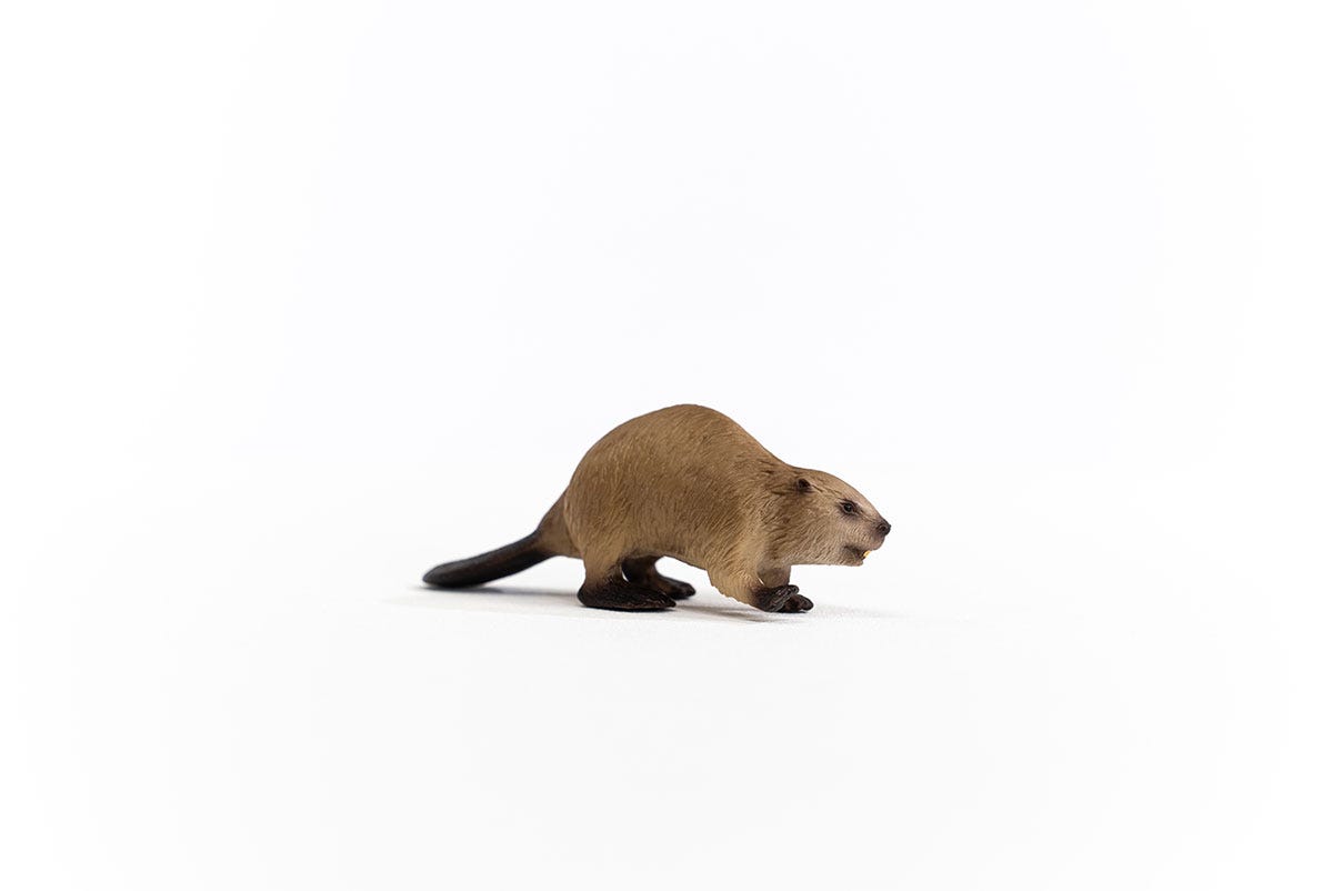 Schleich Biber Valentinstagsangebot