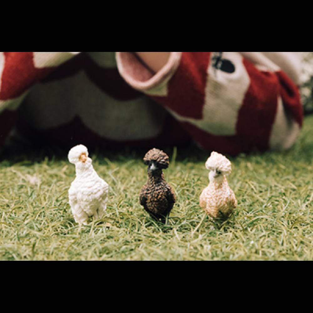 Schleich Hühnerfreunde Neuheiten