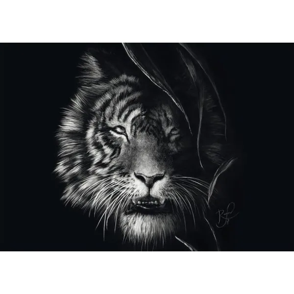 Schmidt Spiele Ashley Rader: Wilderness – Tiger, Im Zeichen der Freiheit, 1.000 Teile Puzzle VIP-Rabatte