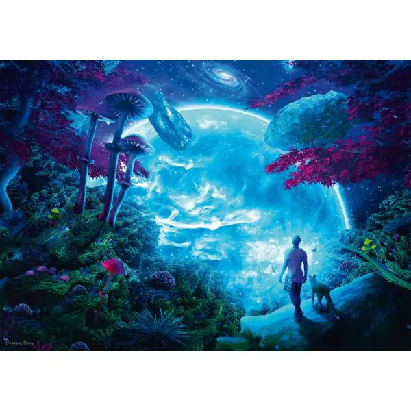 Schmidt Spiele Cameron Gray: Himmelsfantasie, 1.000 Teile Puzzle Fabrikladen
