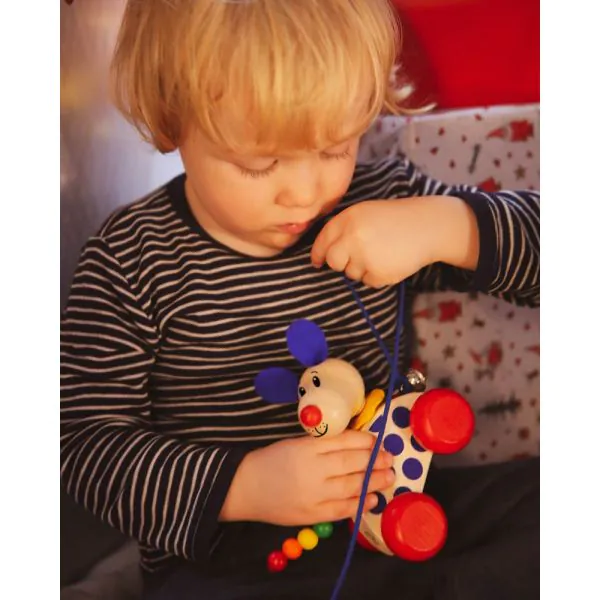 Schmidt Spiele Nico-Nachzieh-Hund, Schiebe-und Nachziehspielzeug aus Holz, 12 cm Discount Store für neue Produkte