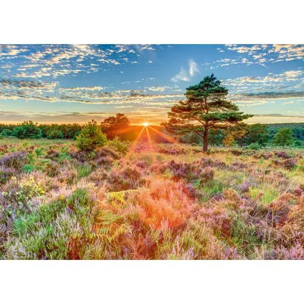 Schmidt Spiele Heide im Sonnenuntergang, 1.000 Teile Puzzle Blitzverkäufe