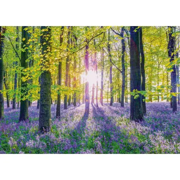 Schmidt Spiele Zarte Glockenblumen im Wald, 1.000 Teile Puzzle Kostenloser Versand