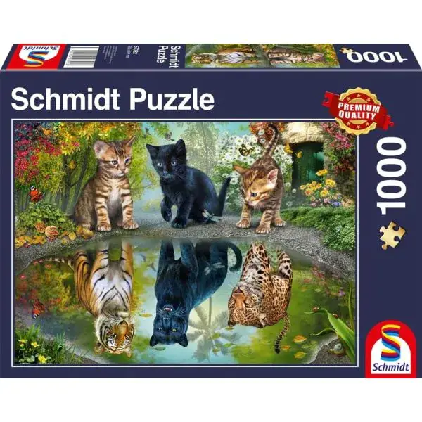 Schmidt Spiele Dream Big!, 1.000 Teile Puzzle