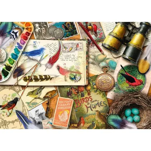 Schmidt Spiele Aimee Stewart: Aufgetischt: Vogelbeobachtung, 1.000 Teile Puzzle im Angebot