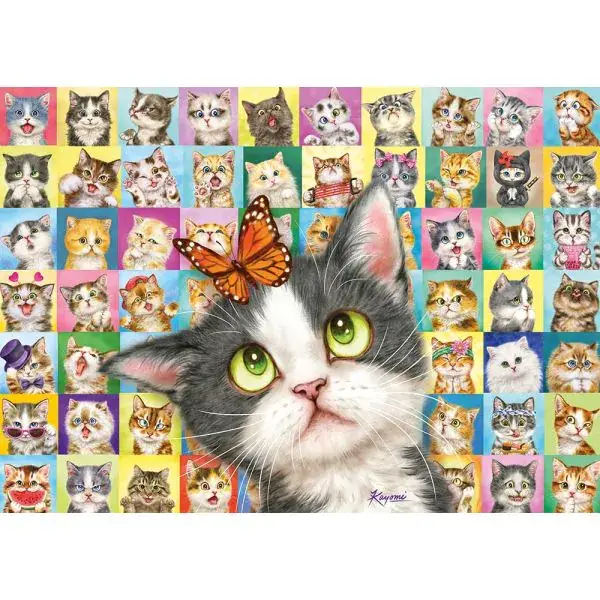 Schmidt Spiele Katzen-Mimik, 1.000 Teile Puzzle Blitzverkäufe