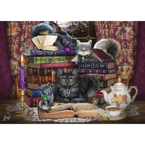 Schmidt Spiele Brigid Ashwood: Märchenstunde mit Katzen, 1.000 Teile Puzzle Exklusive Angebote