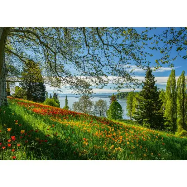 Schmidt Spiele Frühlingsallee zur Tulpenblüte, Insel Mainau, 1.000 Teile Puzzle 50% Rabatt mit kostenlosem Versand