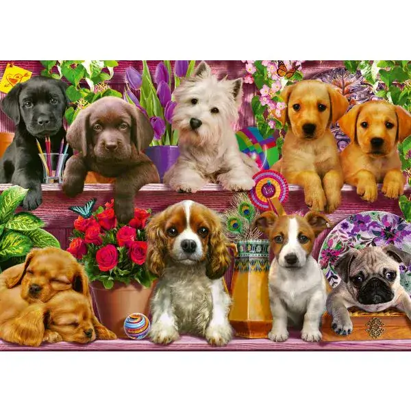 Schmidt Spiele Hunde im Regal, 500 Teile Puzzle Online