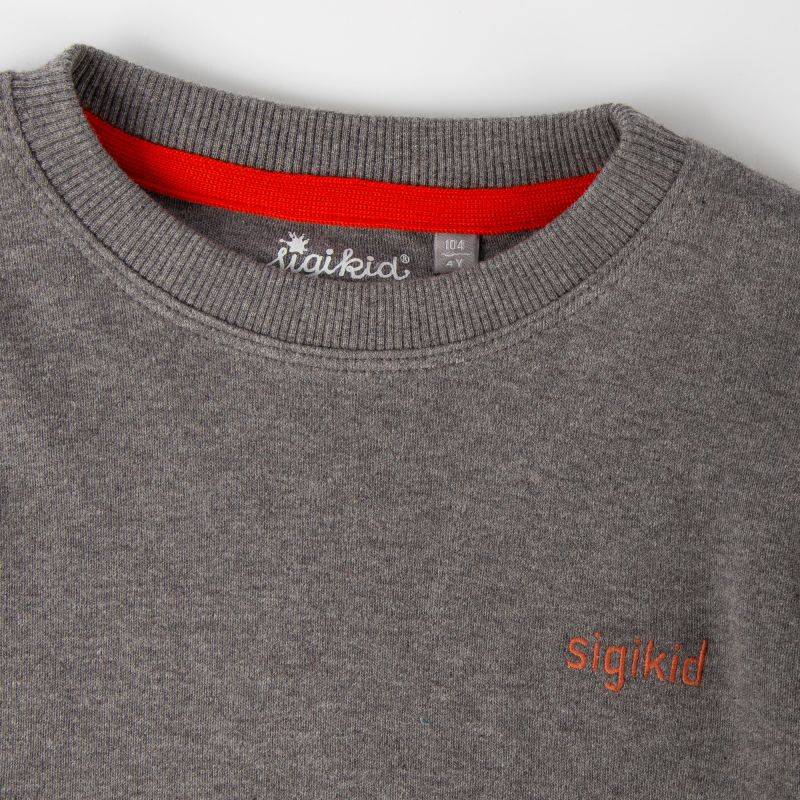 Sigikid Graumeliertes Kinder Langarmshirt Polarschiff Fabrikverkauf