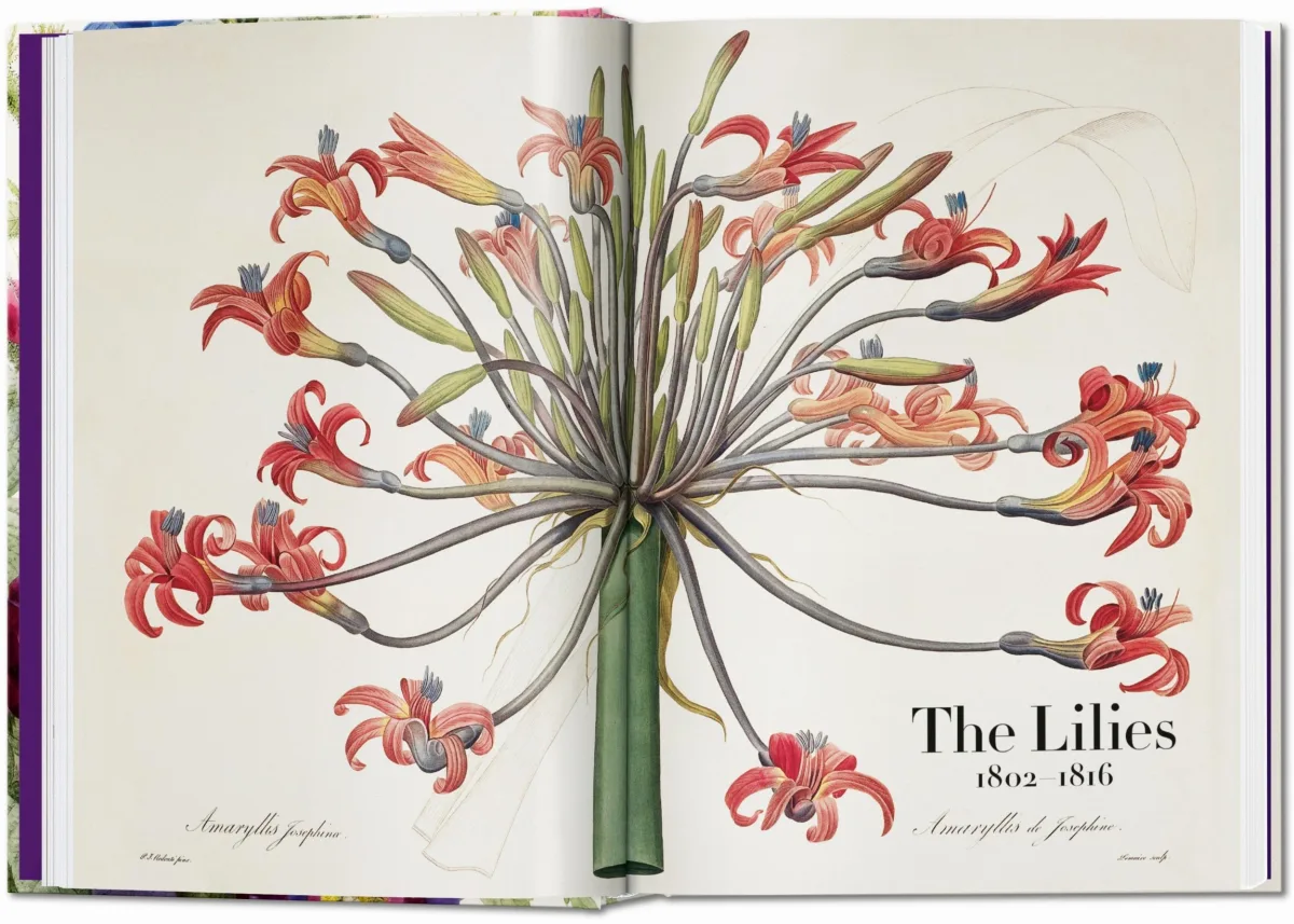 TASCHEN Redouté. The Book of Flowers. 40th Ed Räumungsverkauf