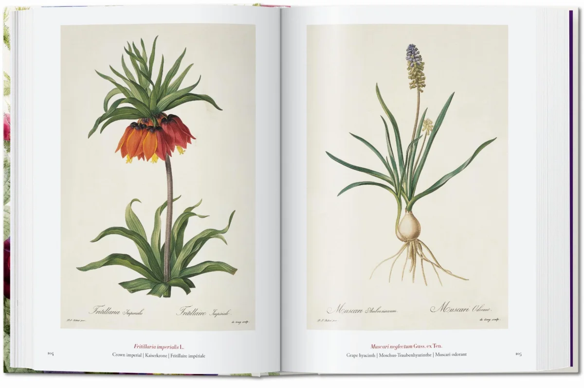 TASCHEN Redouté. The Book of Flowers. 40th Ed Räumungsverkauf