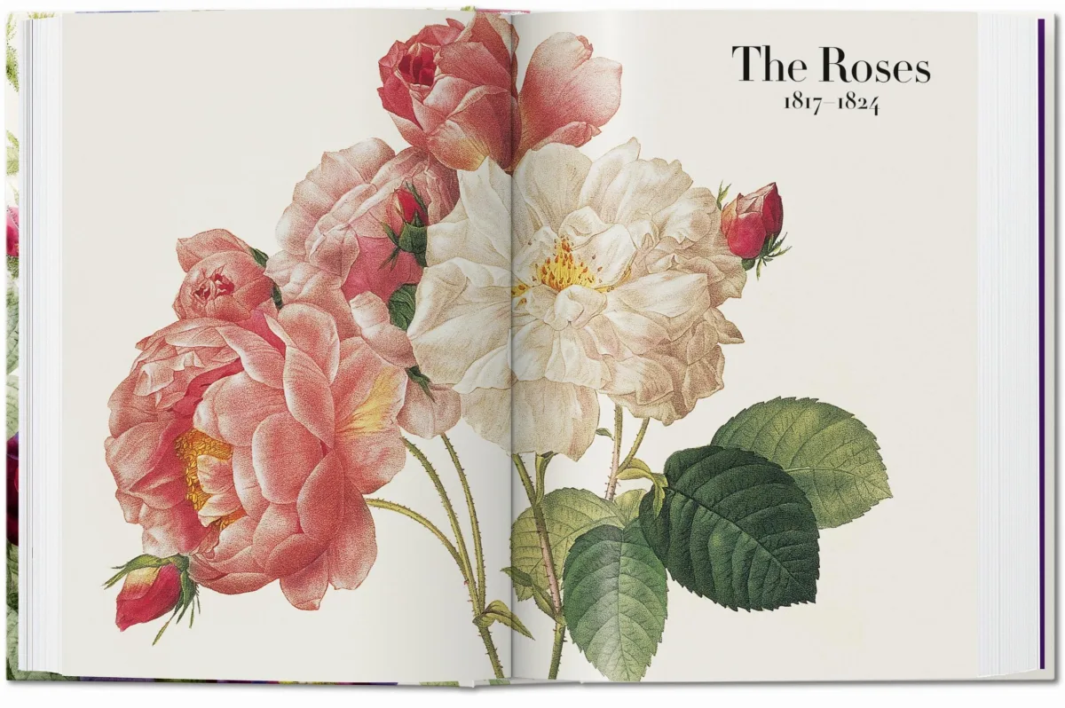 TASCHEN Redouté. The Book of Flowers. 40th Ed Räumungsverkauf