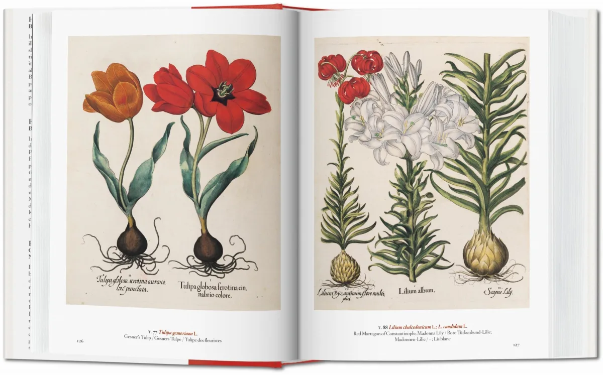 TASCHEN A Garden Eden. Masterpieces of Botanical Illustration. 40th Ed Tiefpreis