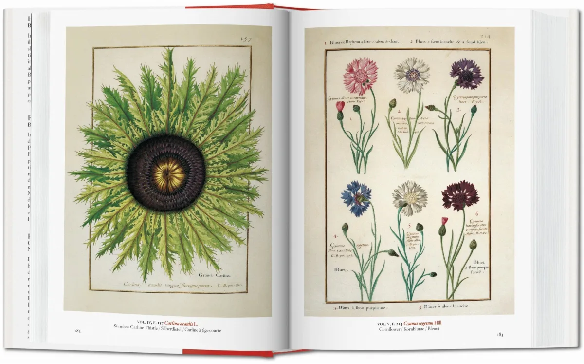 TASCHEN A Garden Eden. Masterpieces of Botanical Illustration. 40th Ed Tiefpreis