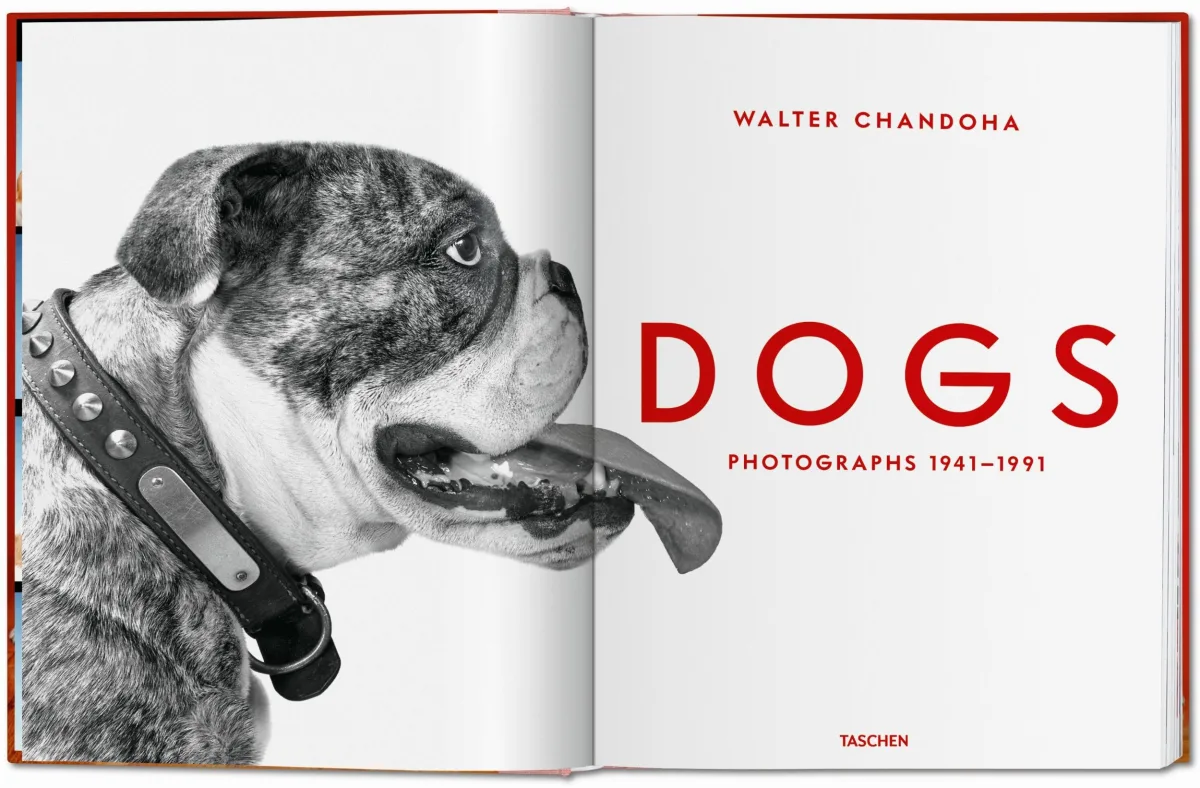 TASCHEN Walter Chandoha. Dogs. Photographs 1941–1991 Clearance-Verkauf