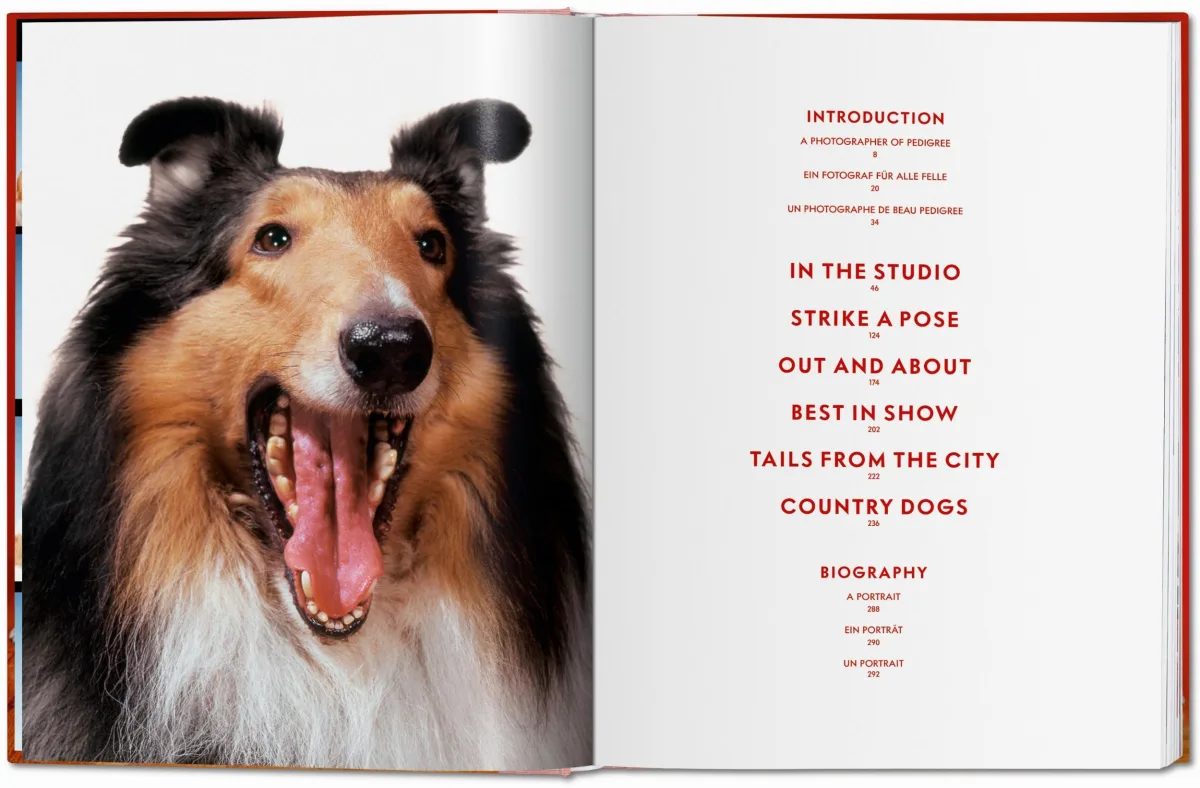 TASCHEN Walter Chandoha. Dogs. Photographs 1941–1991 Clearance-Verkauf