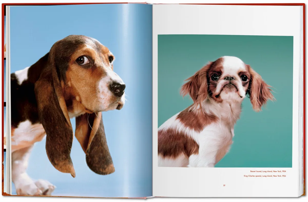 TASCHEN Walter Chandoha. Dogs. Photographs 1941–1991 Clearance-Verkauf