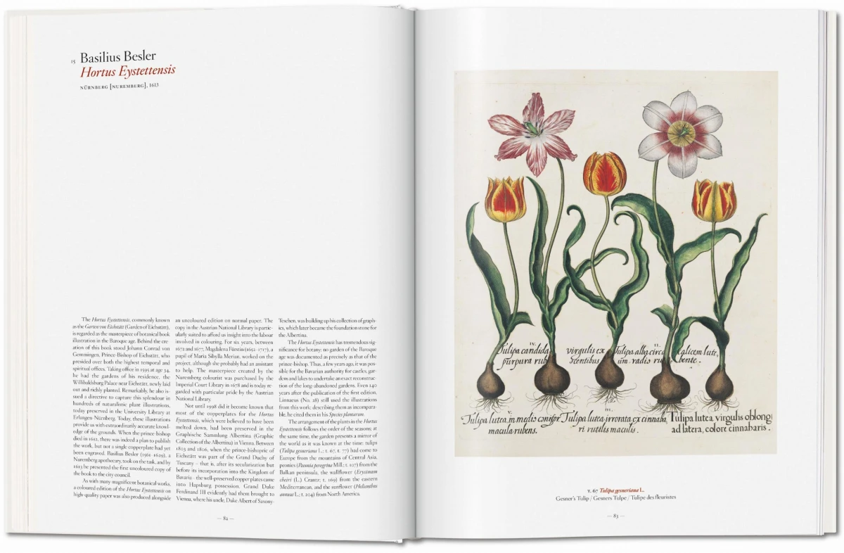 TASCHEN A Garden Eden. Masterpieces of Botanical Illustration Kostenloser Versand international