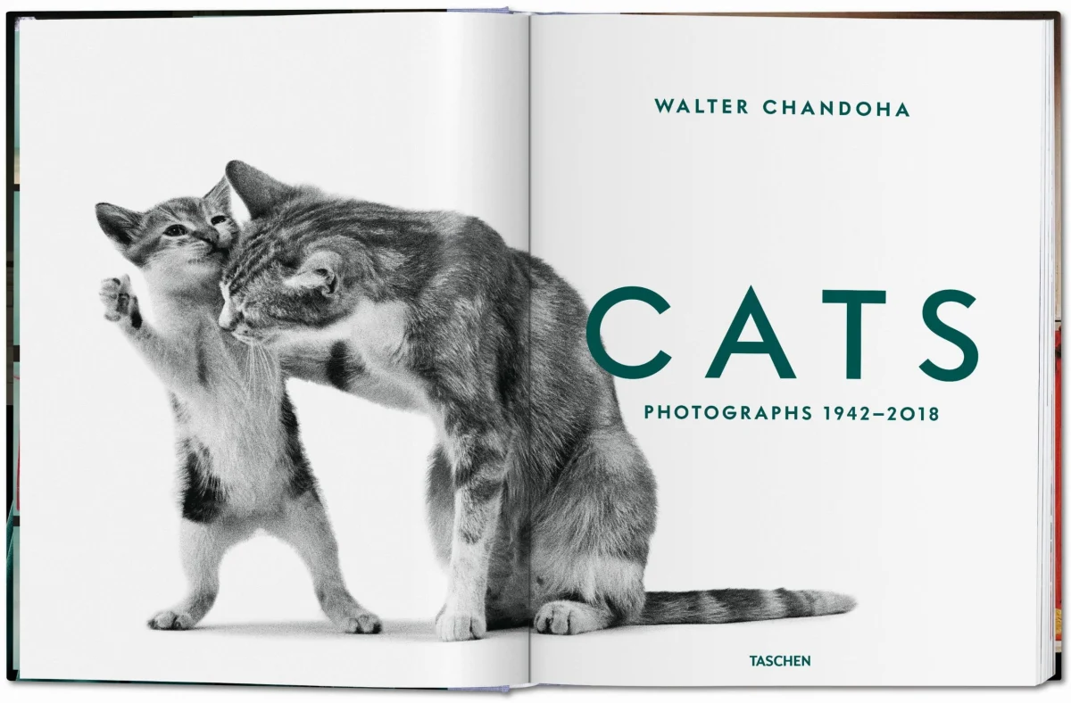 TASCHEN Walter Chandoha. Cats. Photographs 1942–2018 zollfrei