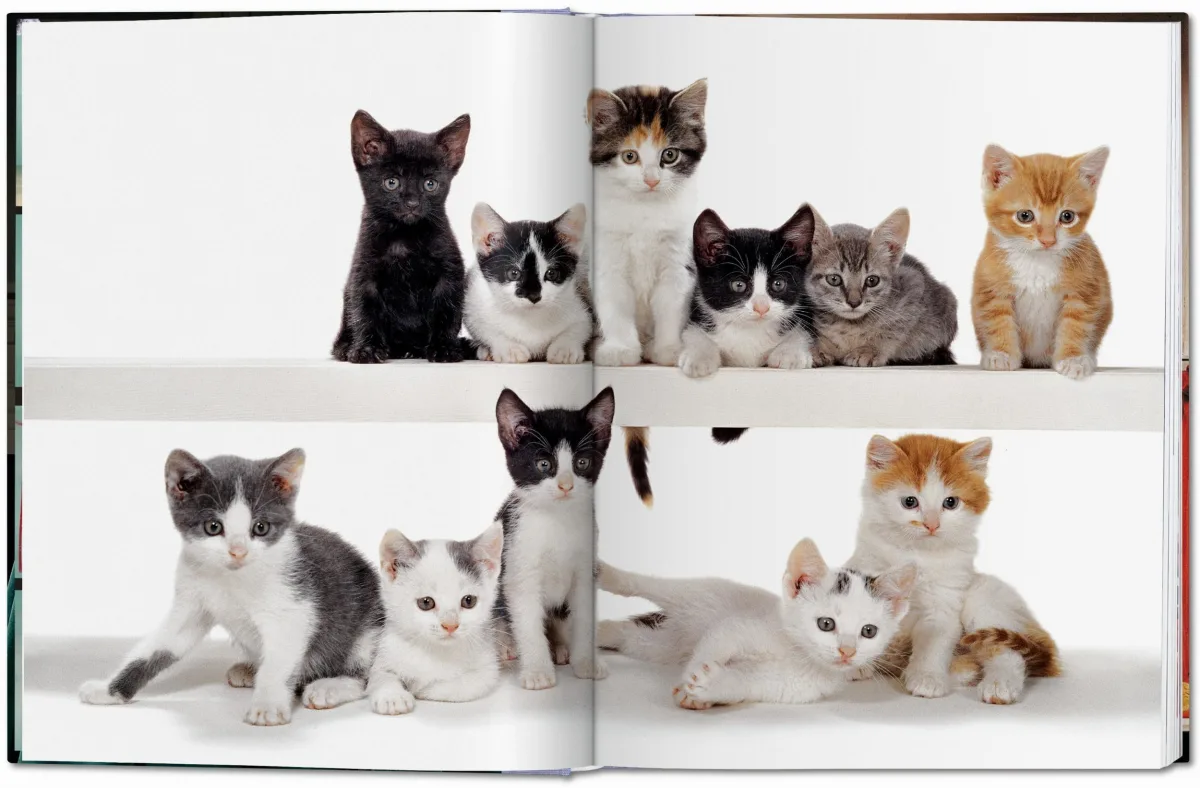 TASCHEN Walter Chandoha. Cats. Photographs 1942–2018 zollfrei