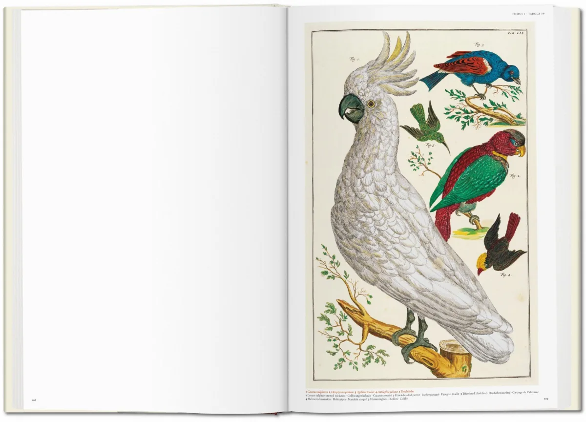 TASCHEN Seba. Cabinet of Natural Curiosities im Angebot