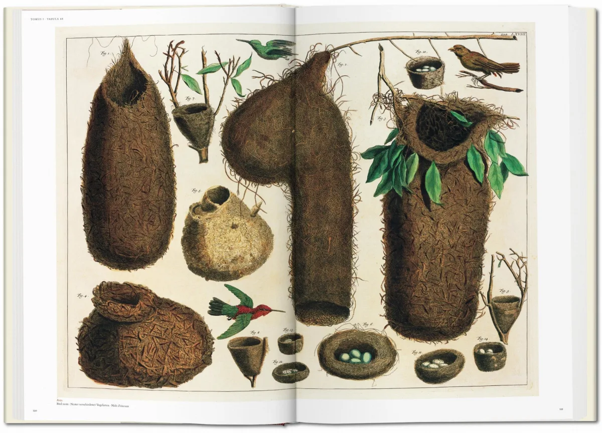TASCHEN Seba. Cabinet of Natural Curiosities im Angebot