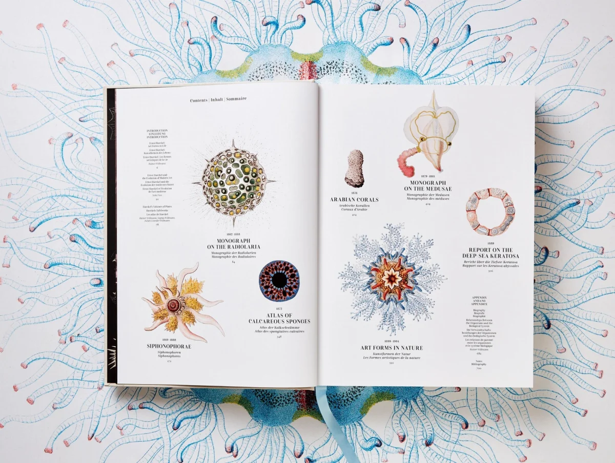 TASCHEN The Art and Science of Ernst Haeckel Kostenloser Versand