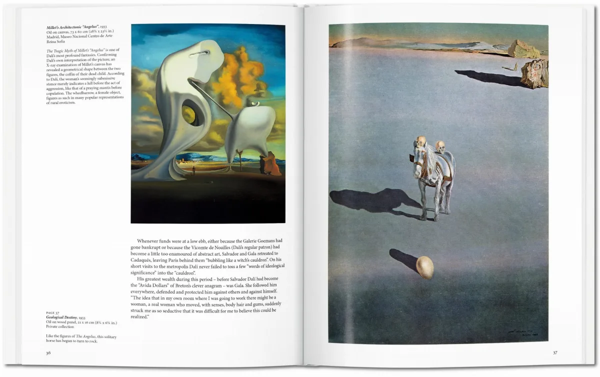 TASCHEN Dalí Kostenloser Versand international
