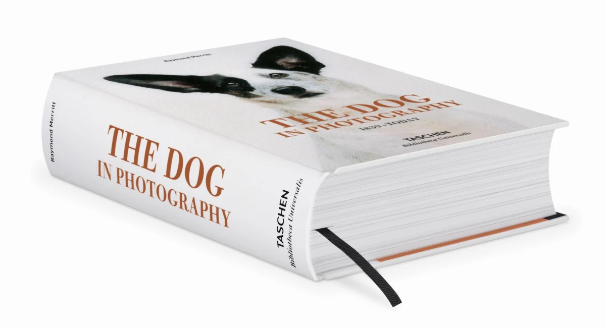 TASCHEN The Dog in Photography 1839–Today Fabrikverkauf