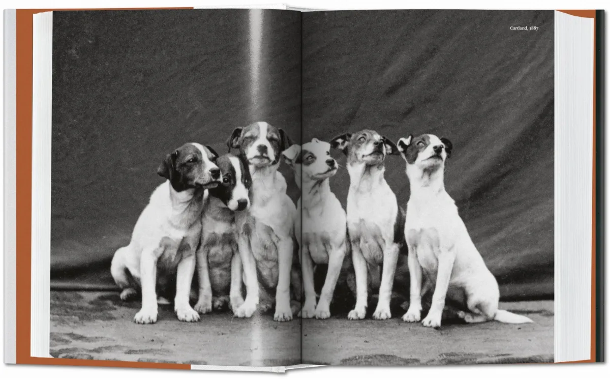 TASCHEN The Dog in Photography 1839–Today Fabrikverkauf