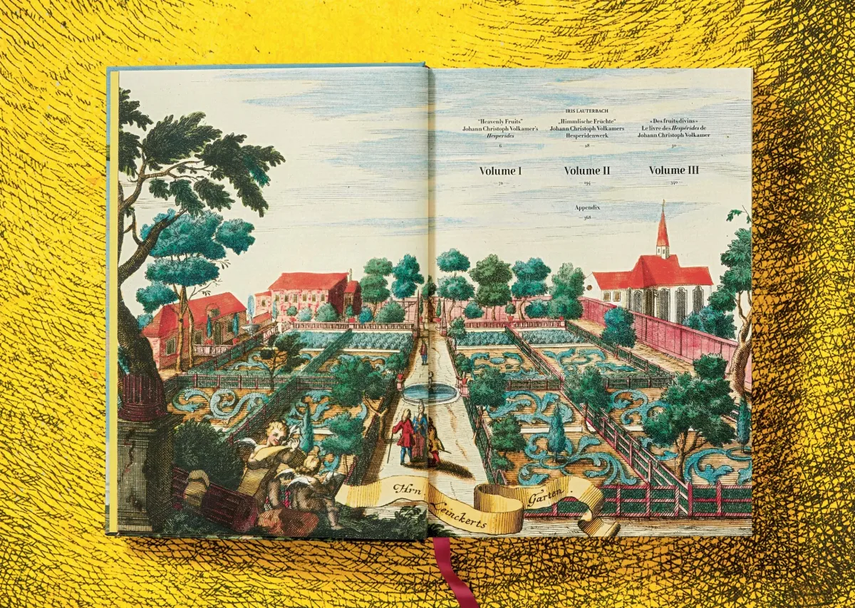 TASCHEN J. C. Volkamer. The Book of Citrus Fruits Kostenloser Versand