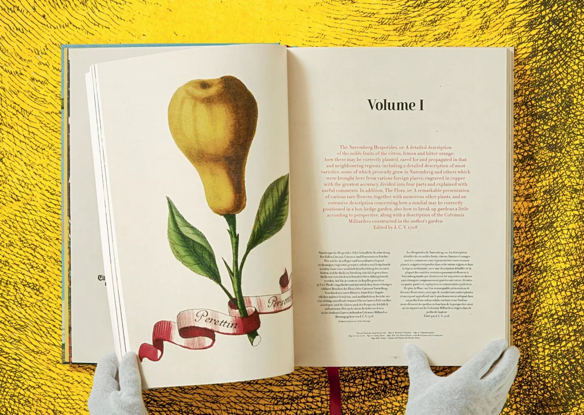 TASCHEN J. C. Volkamer. The Book of Citrus Fruits Kostenloser Versand