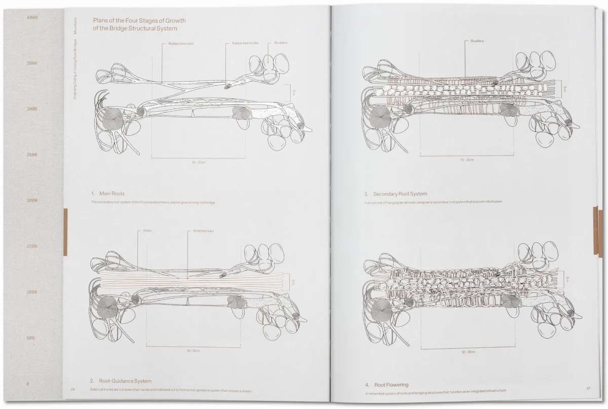 TASCHEN Julia Watson. Lo—TEK. Design by Radical Indigenism Sonderangebot